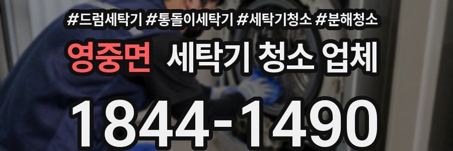 영중면 세탁기 청소 업체