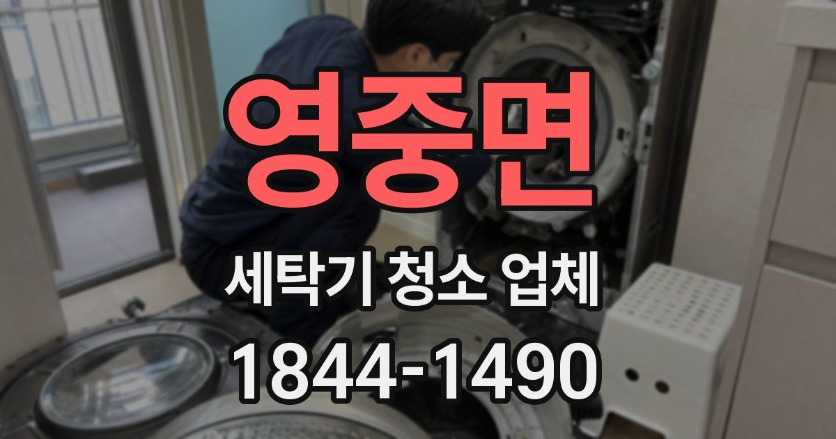 영중면 세탁기 청소 업체