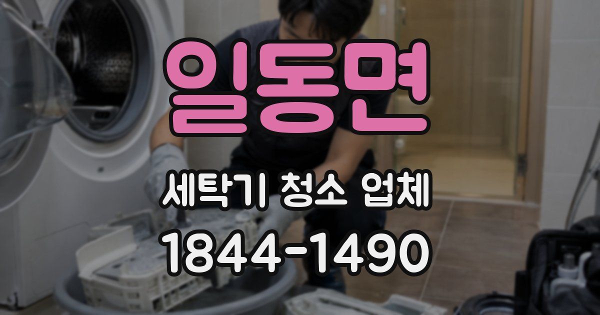 일동면 세탁기 청소 업체