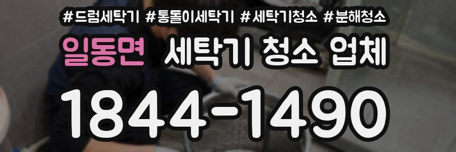 일동면 세탁기 청소 업체