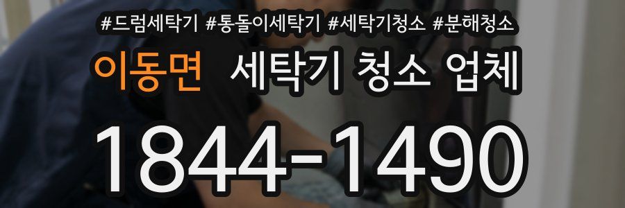이동면 세탁기 청소 업체