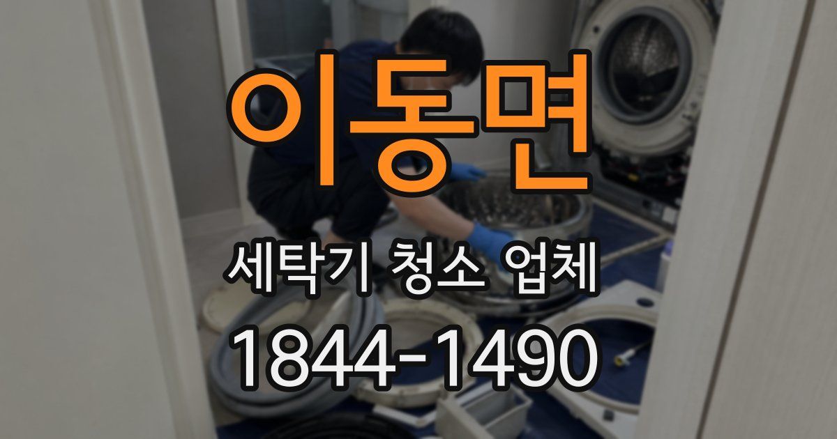 이동면 세탁기 청소 업체