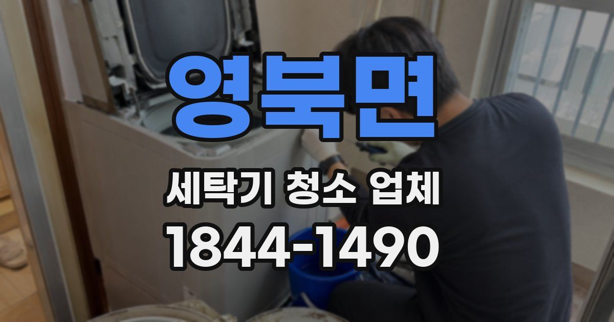 영북면 세탁기 청소 업체