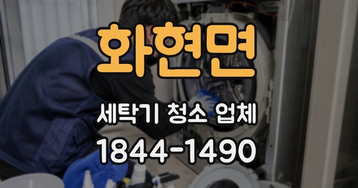 화현면 세탁기 청소 업체