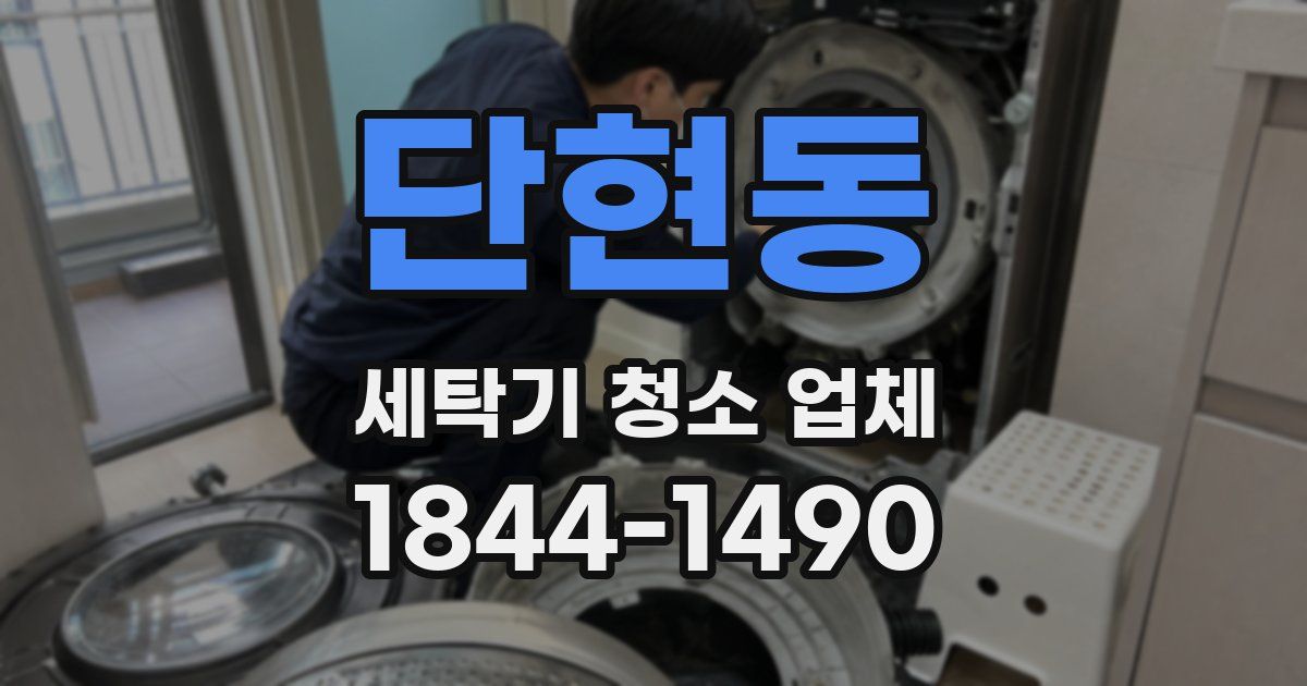 단현동 세탁기 청소 업체