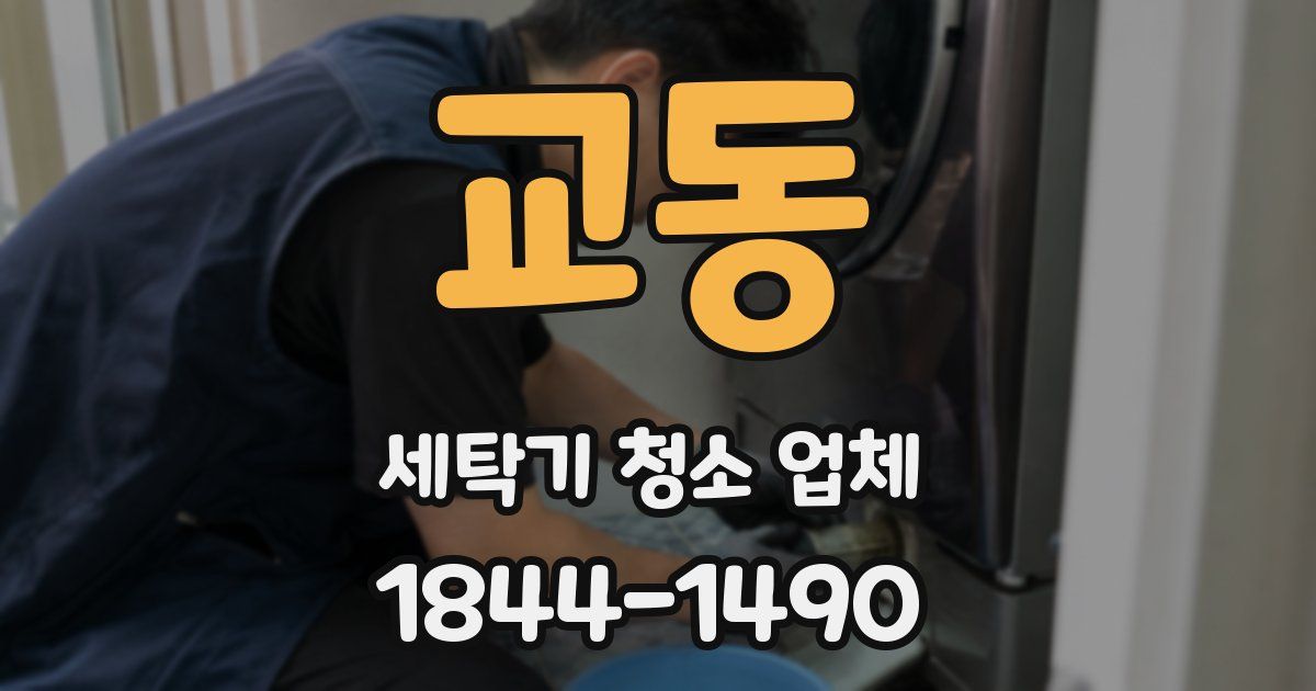교동 세탁기 청소 업체