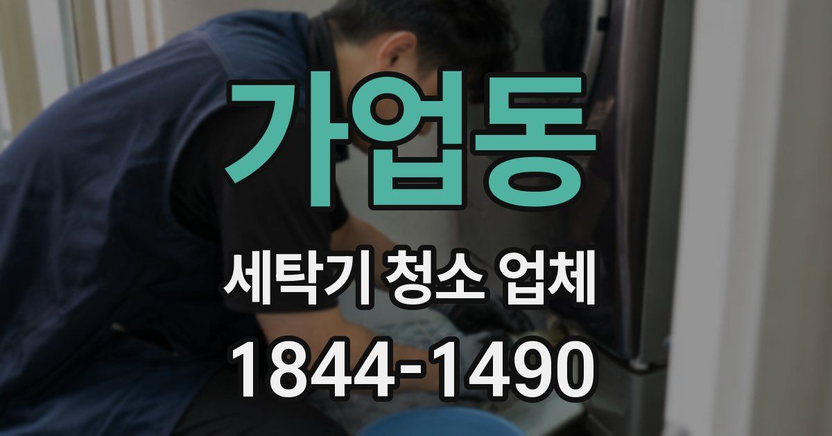 가업동 세탁기 청소 업체