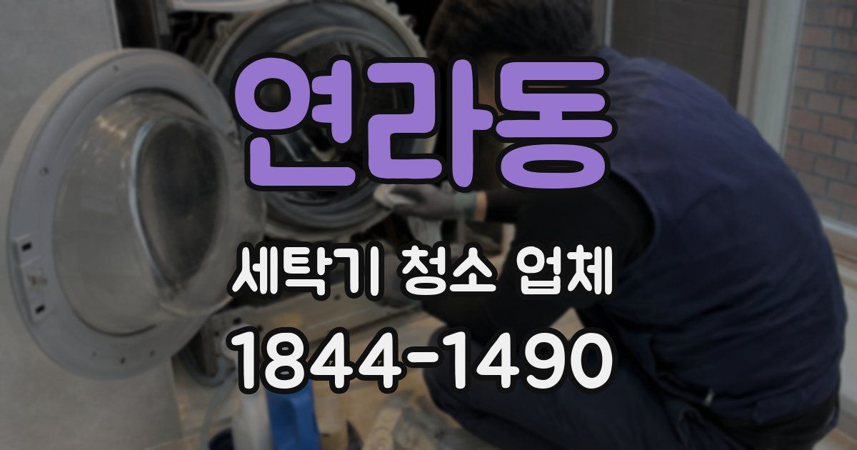 연라동 세탁기 청소 업체