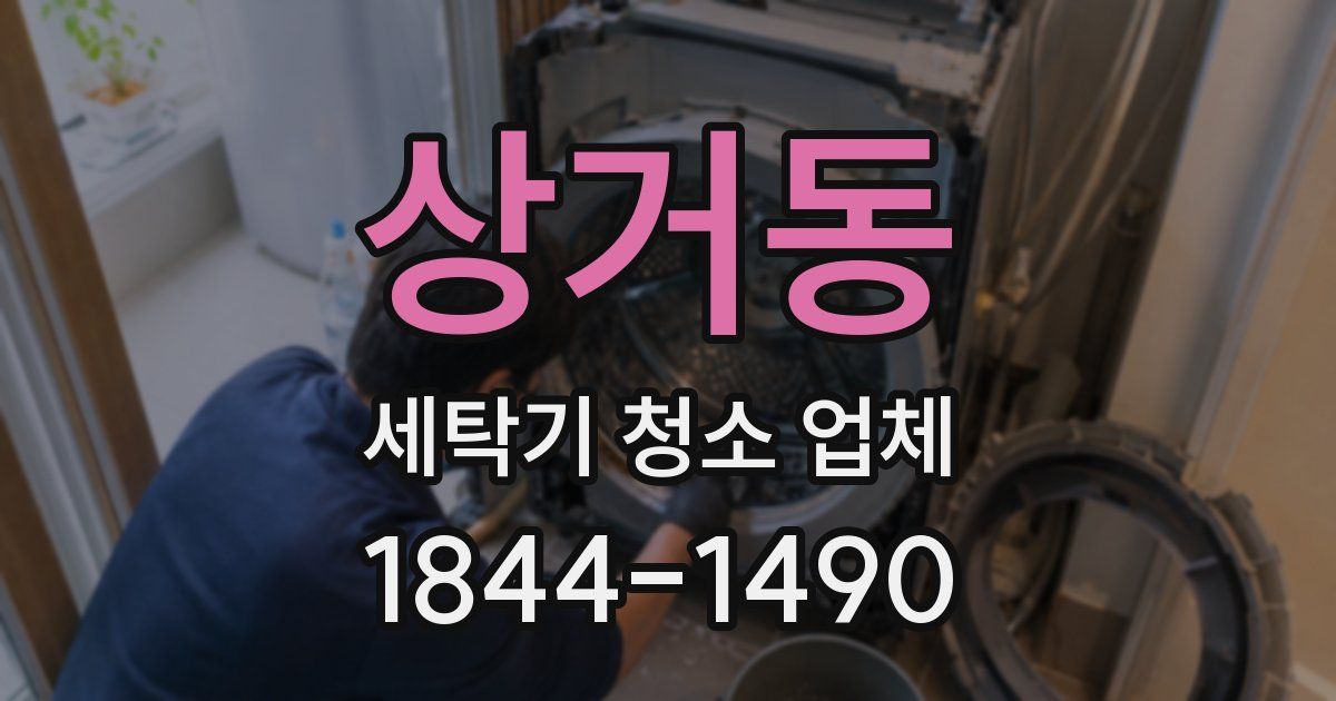 상거동 세탁기 청소 업체