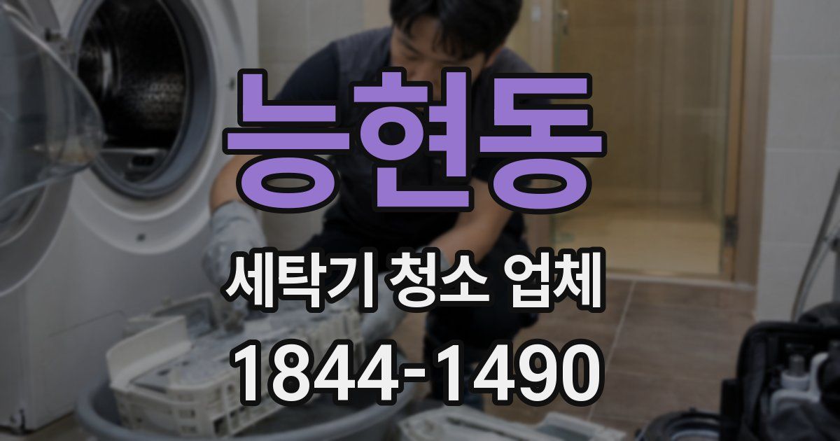 능현동 세탁기 청소 업체