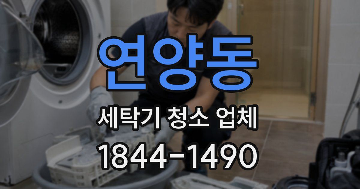 연양동 세탁기 청소 업체