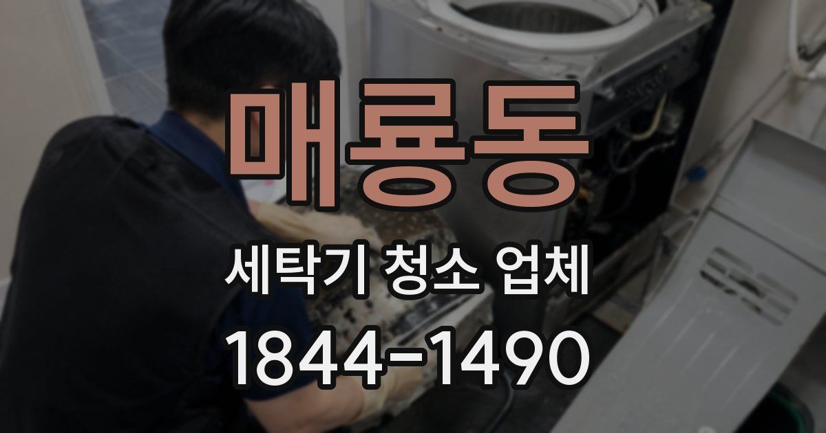 매룡동 세탁기 청소 업체