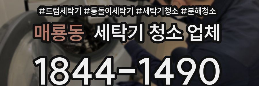 매룡동 세탁기 청소 업체