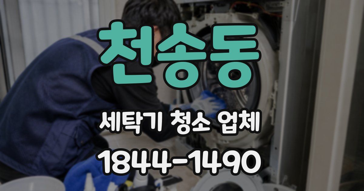 천송동 세탁기 청소 업체