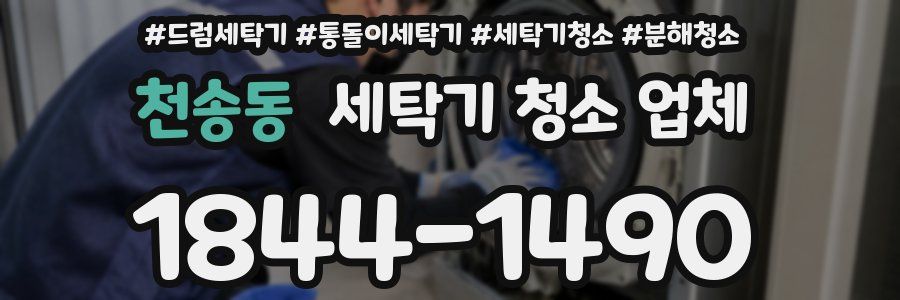천송동 세탁기 청소 업체