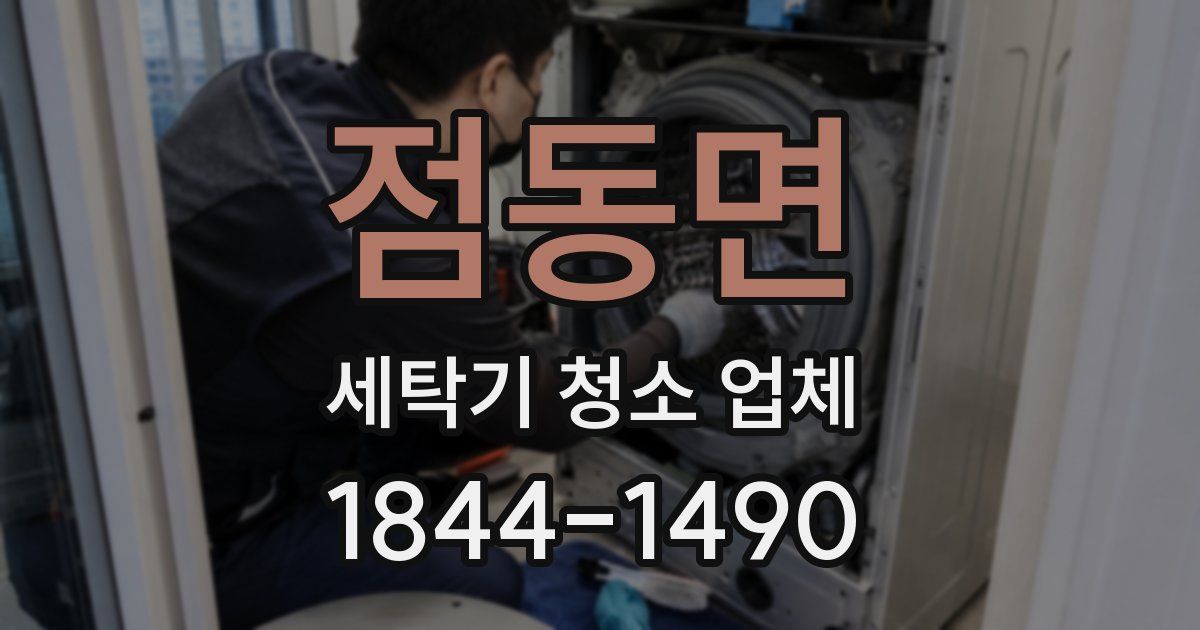 점동면 세탁기 청소 업체