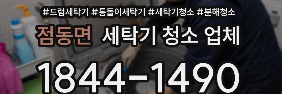 점동면 세탁기 청소 업체