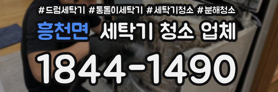 흥천면 세탁기 청소 업체