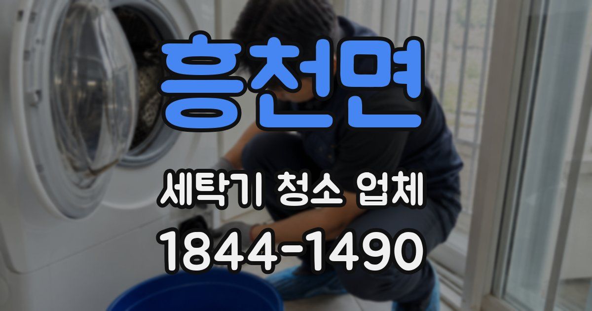 흥천면 세탁기 청소 업체