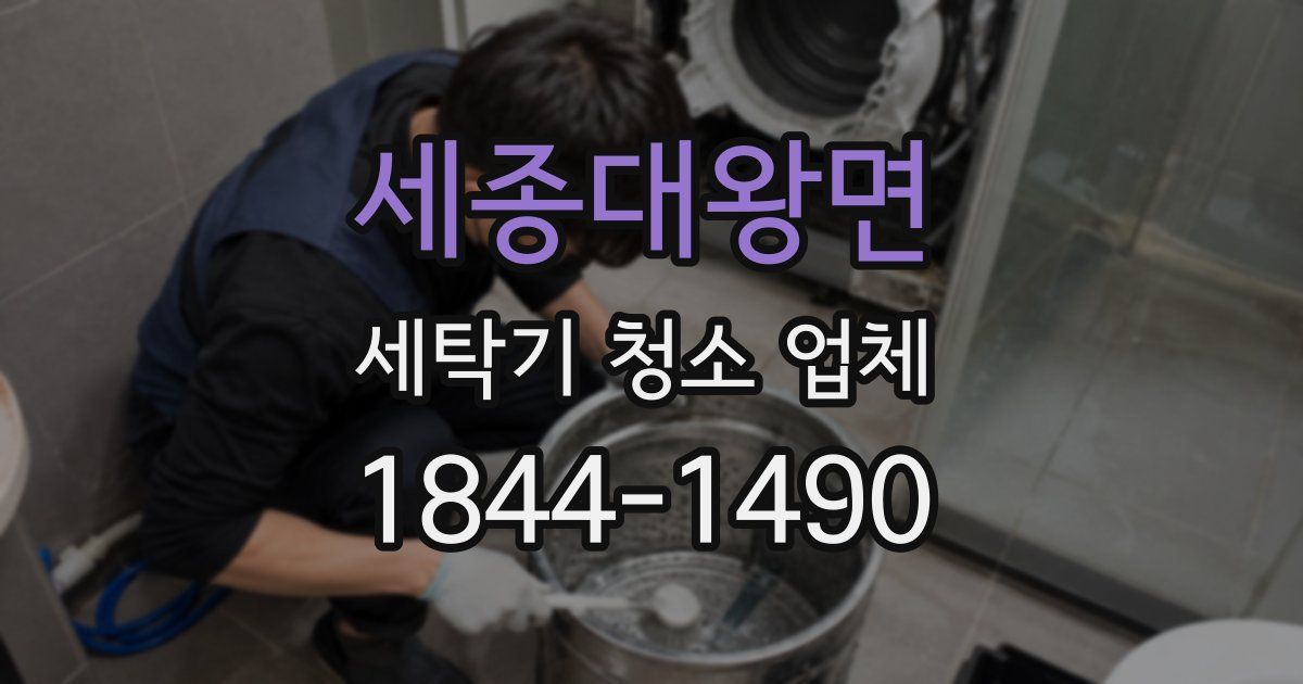 세종대왕면 세탁기 청소 업체