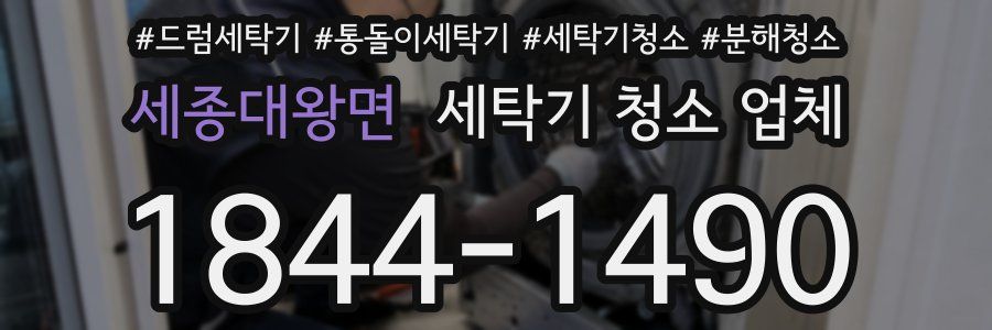 세종대왕면 세탁기 청소 업체