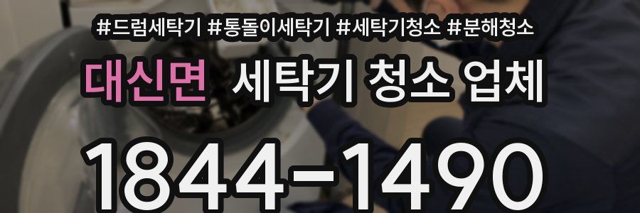 대신면 세탁기 청소 업체