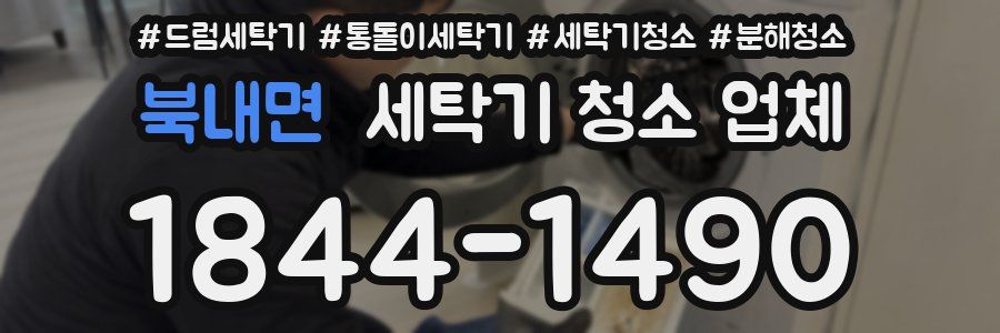 북내면 세탁기 청소 업체