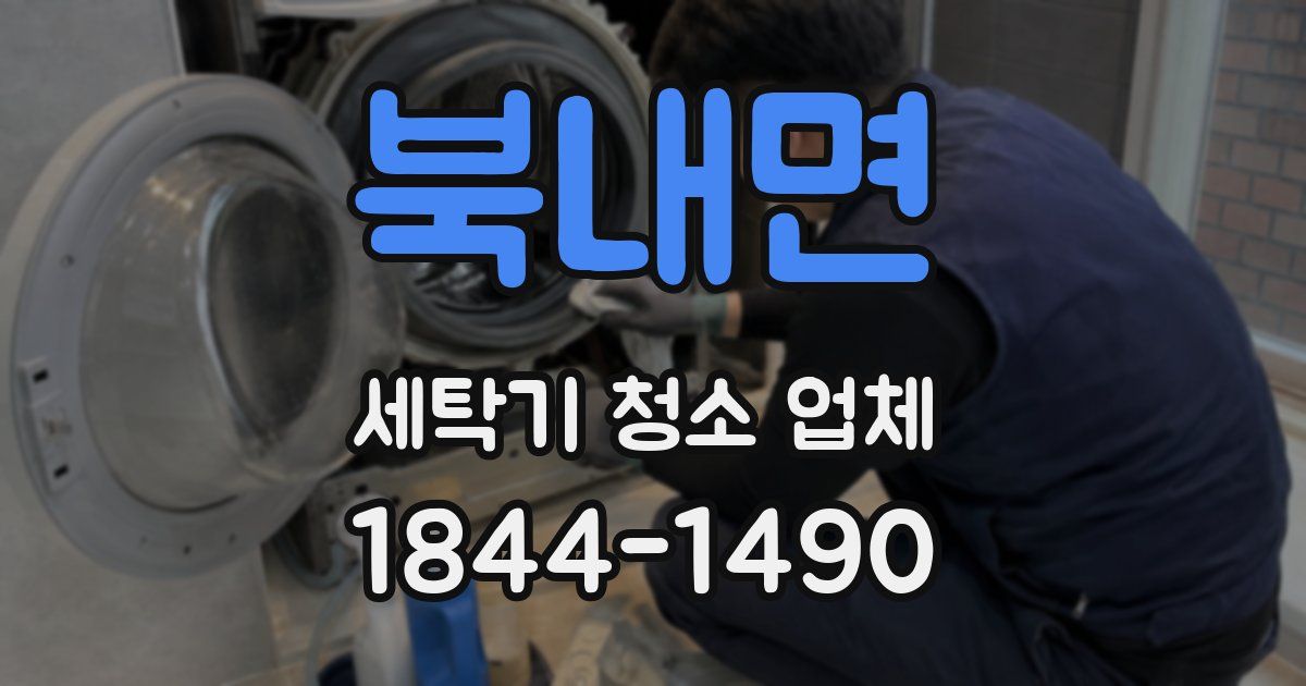 북내면 세탁기 청소 업체