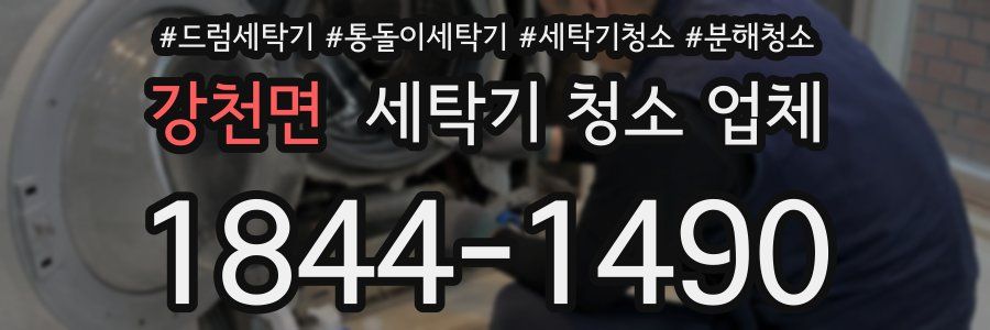 강천면 세탁기 청소 업체