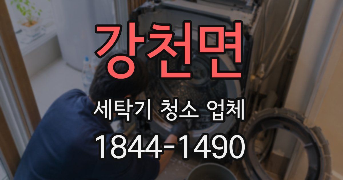 강천면 세탁기 청소 업체
