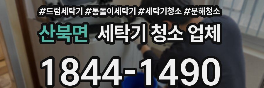 산북면 세탁기 청소 업체