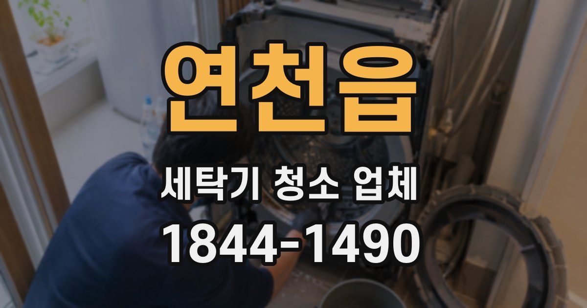 연천읍 세탁기 청소 업체