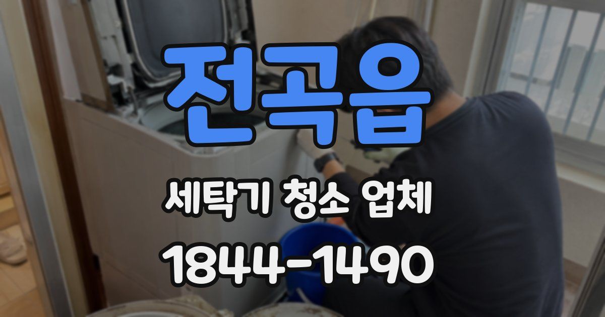 전곡읍 세탁기 청소 업체