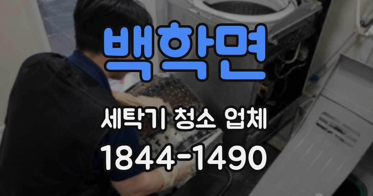 백학면 세탁기 청소 업체