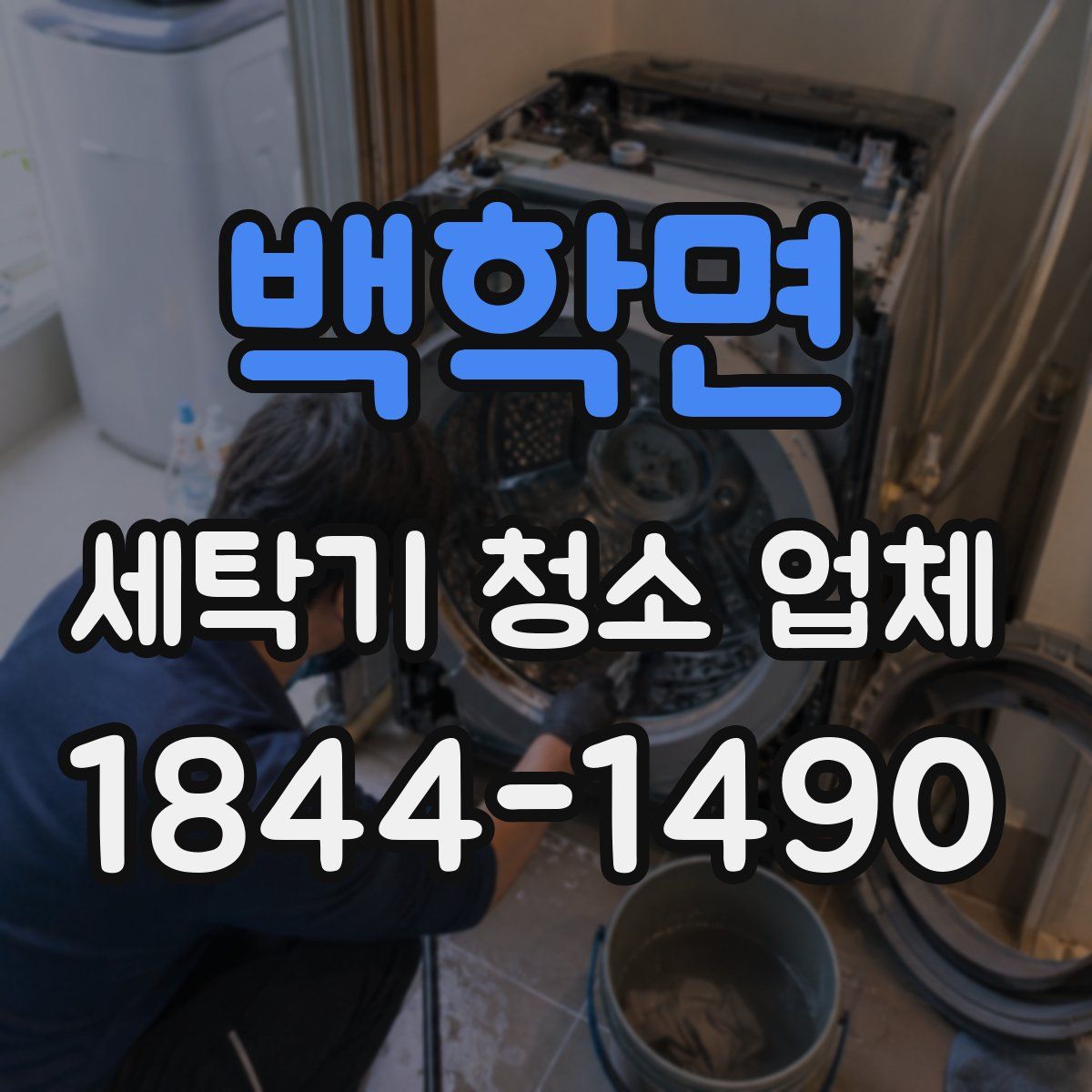 백학면 세탁기 청소 업체