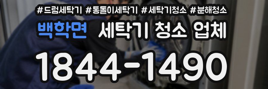 백학면 세탁기 청소 업체