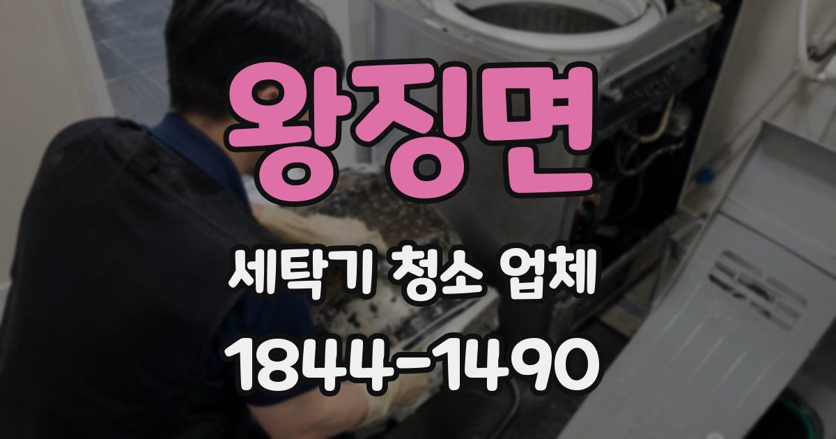 왕징면 세탁기 청소 업체