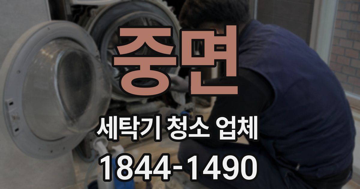 중면 세탁기 청소 업체
