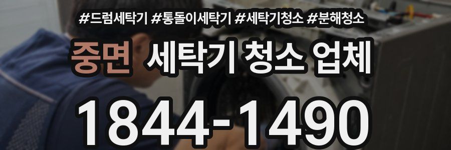 중면 세탁기 청소 업체