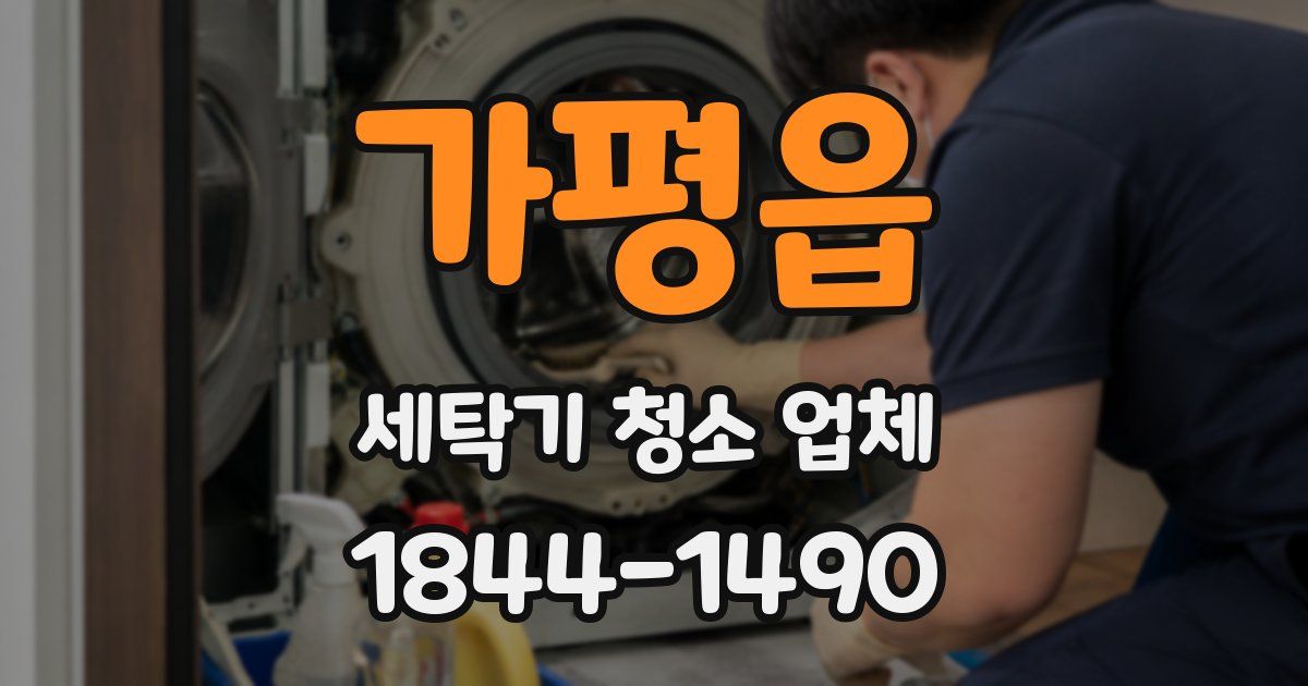 가평읍 세탁기 청소 업체