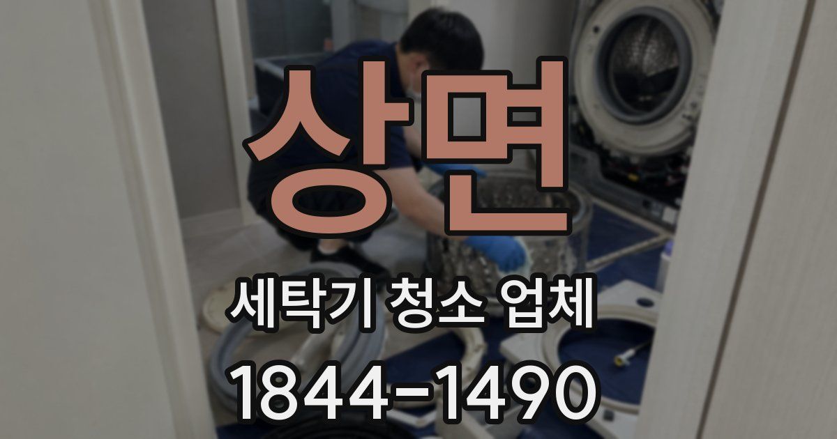 상면 세탁기 청소 업체