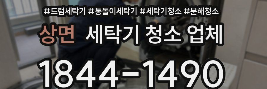 상면 세탁기 청소 업체