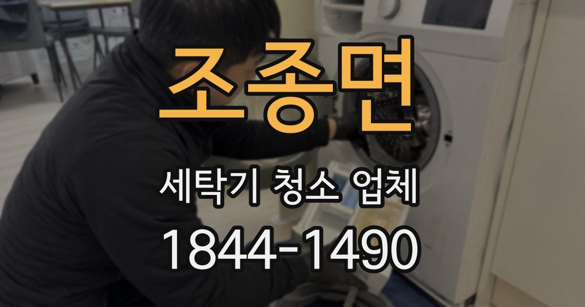조종면 세탁기 청소 업체