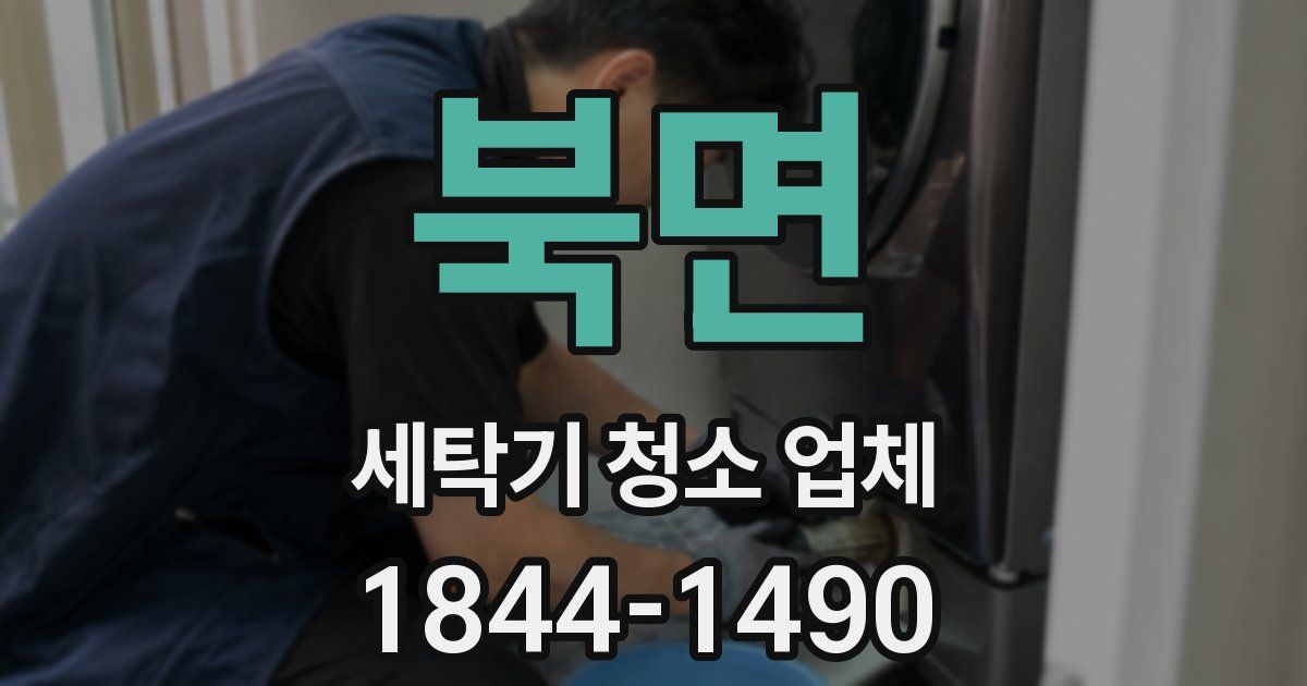 북면 세탁기 청소 업체