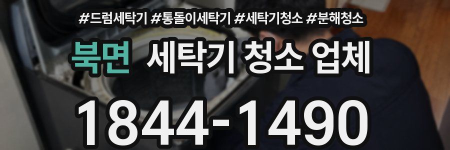 북면 세탁기 청소 업체