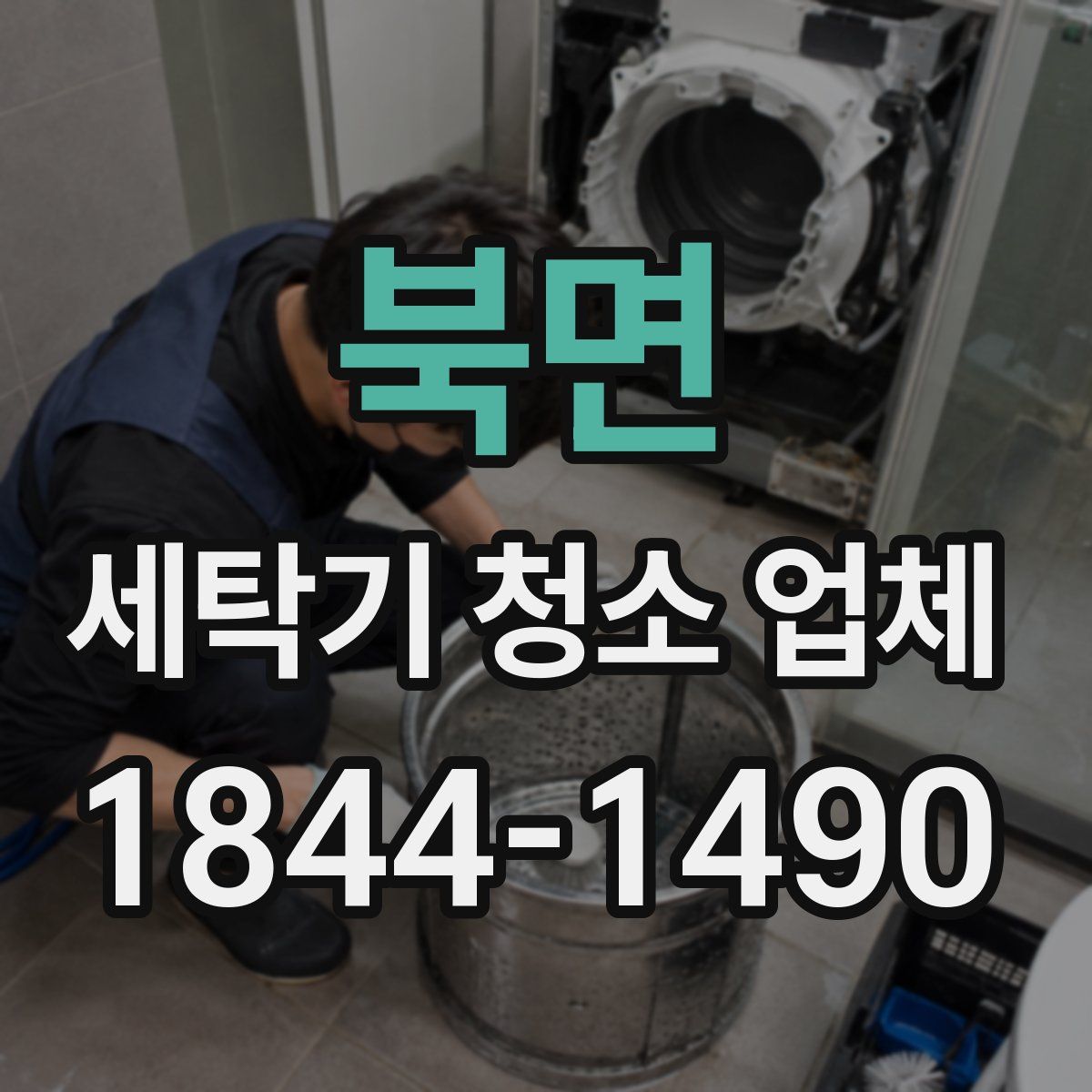 북면 세탁기 청소 업체