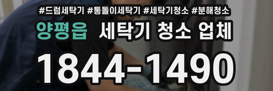 양평읍 세탁기 청소 업체
