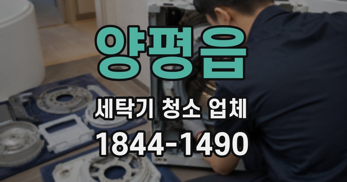 양평읍 세탁기 청소 업체