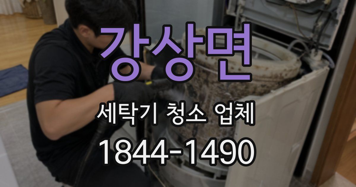 강상면 세탁기 청소 업체