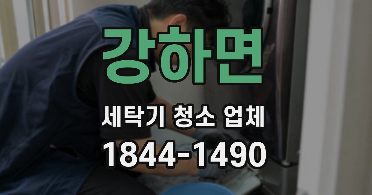 강하면 세탁기 청소 업체